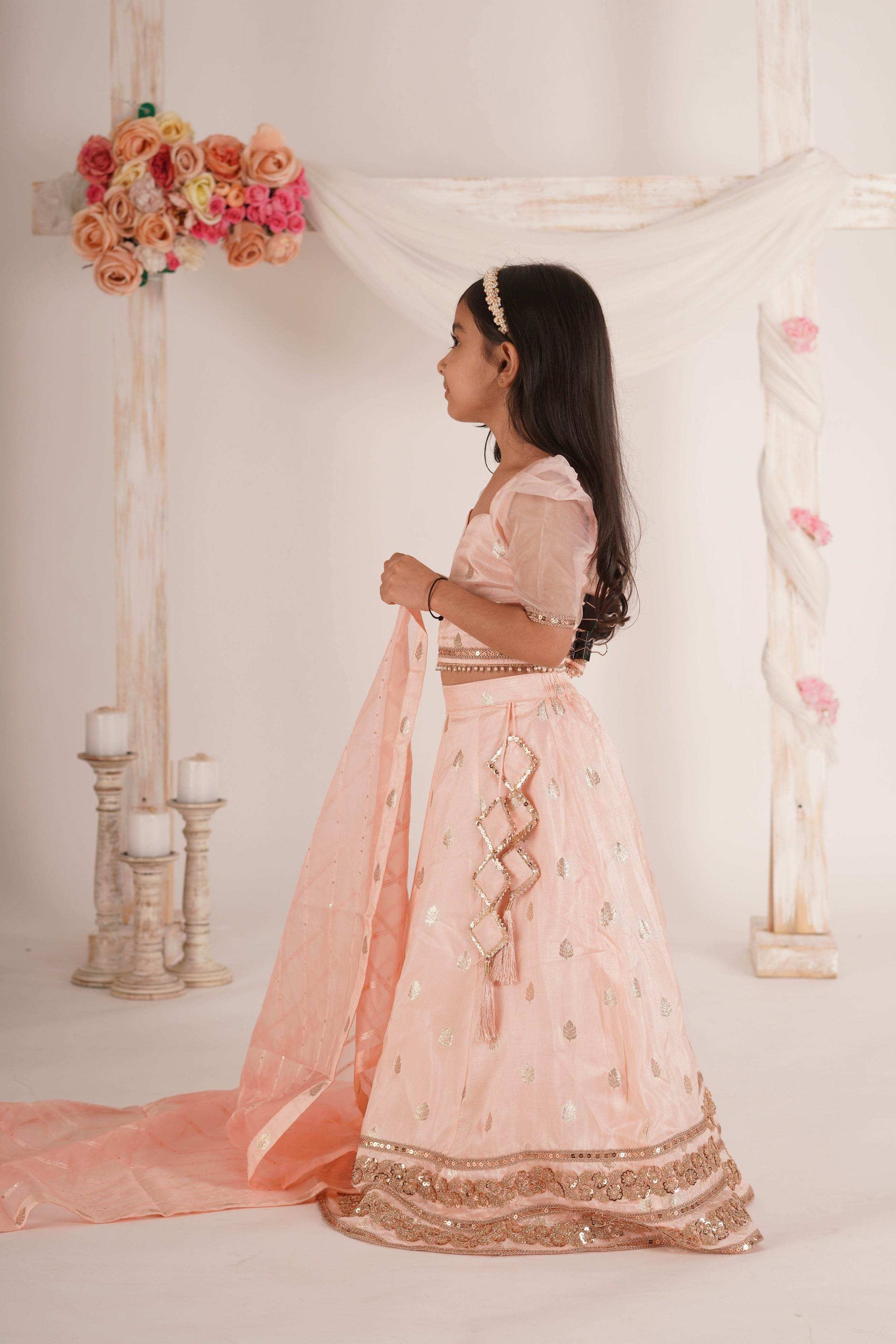 Zia- Blouse, Lehenga and Dupatta Set-Peach Pink and Rose Gold - Monk & Mei