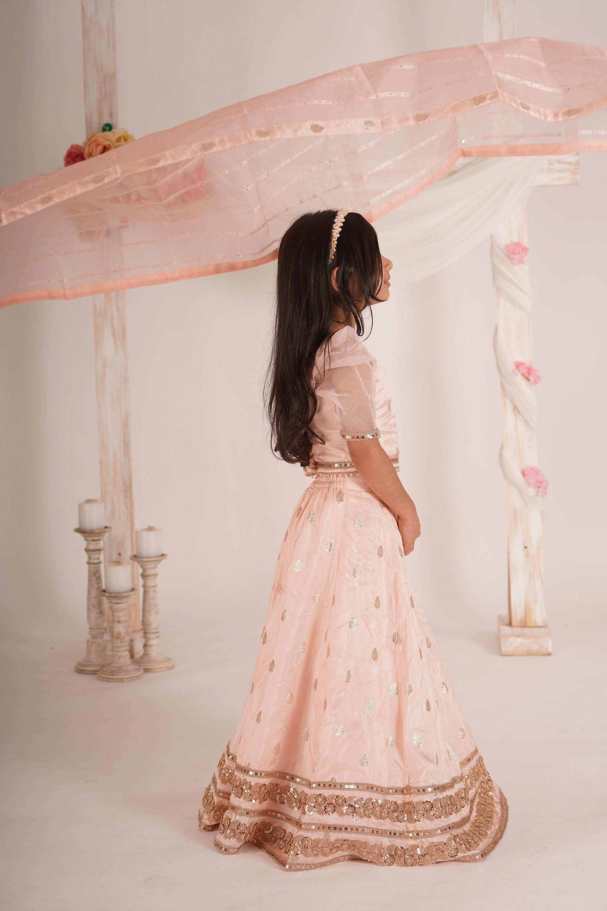 Zia- Blouse, Lehenga and Dupatta Set-Peach Pink and Rose Gold - Monk & Mei