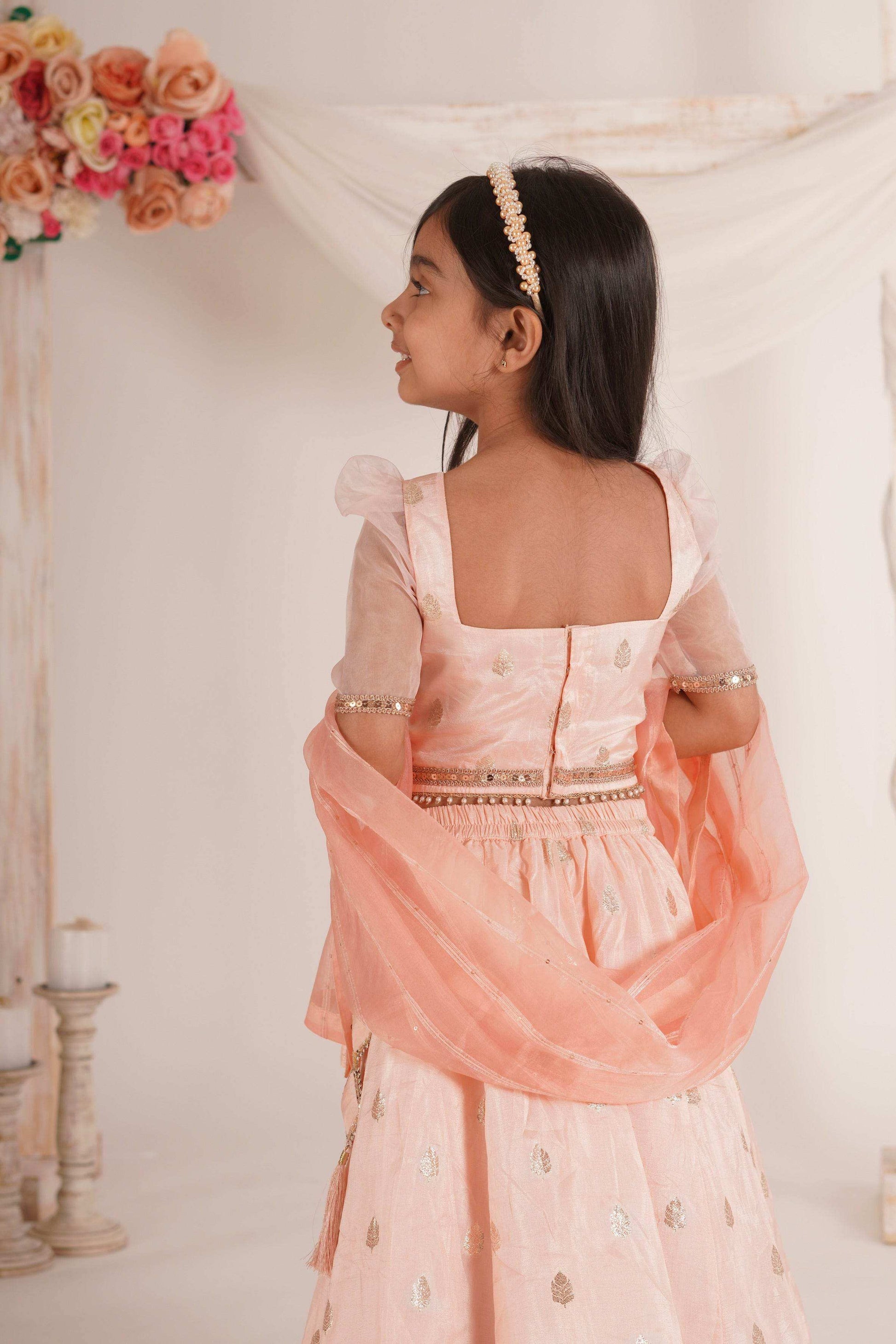 Zia- Blouse, Lehenga and Dupatta Set-Peach Pink and Rose Gold - Monk & Mei