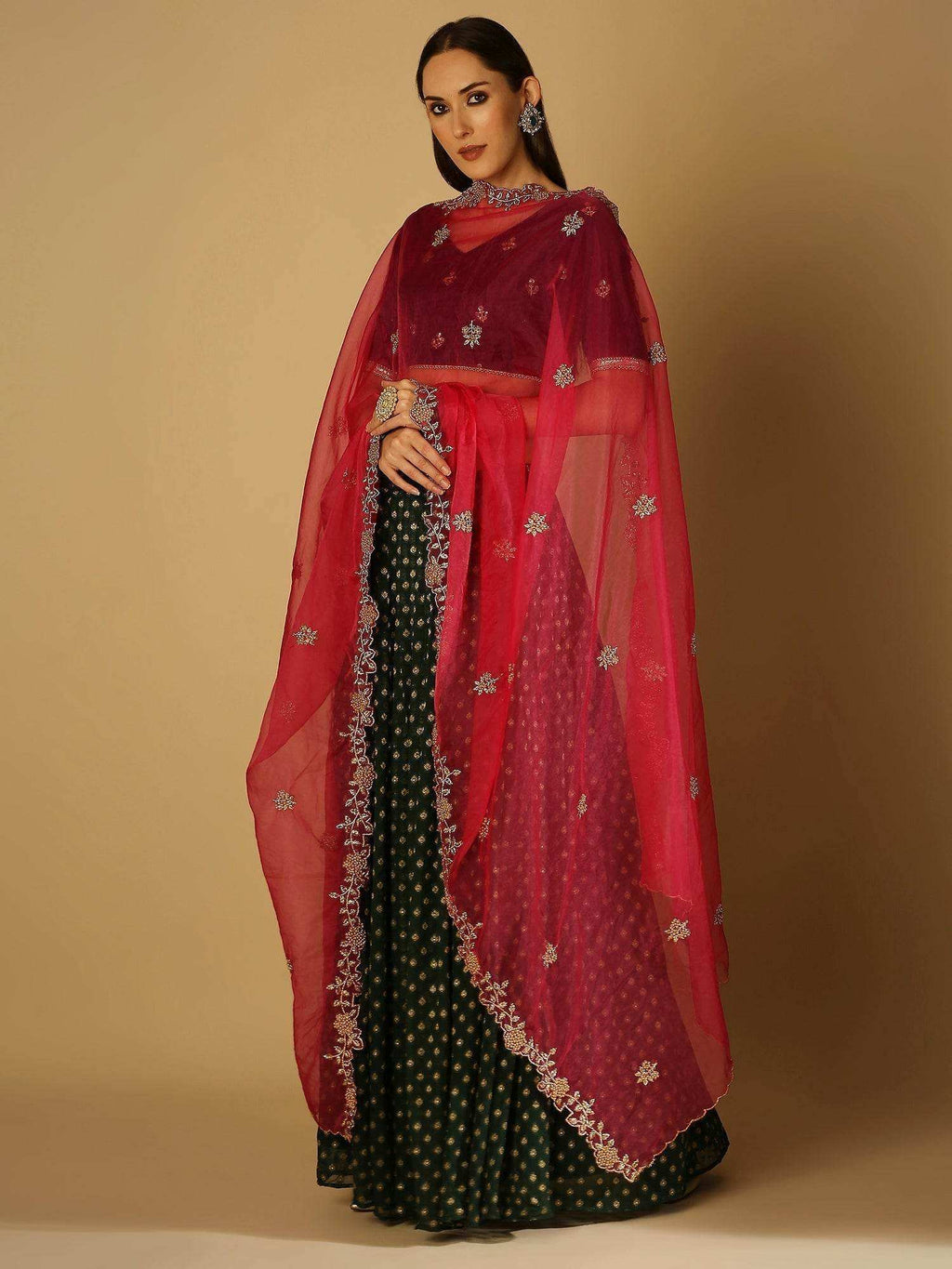 Ruhani-Dupatta - Rani - Monk & Mei