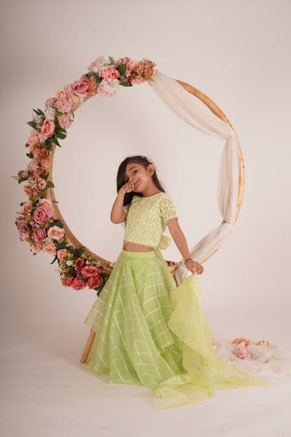 Ivana- Blouse,Lehenga and Dupatta Set - Pista Green and Rose Gold