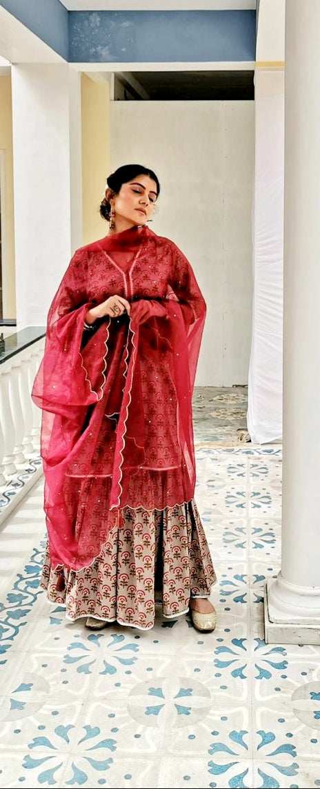 Abhidya Gold & Maroon Dupatta