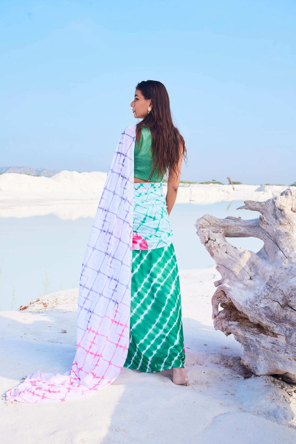 CELESTIA SAREE & HALTER NECK BLOUSE (GREEN) - MULTICOLOR - Monk & Mei