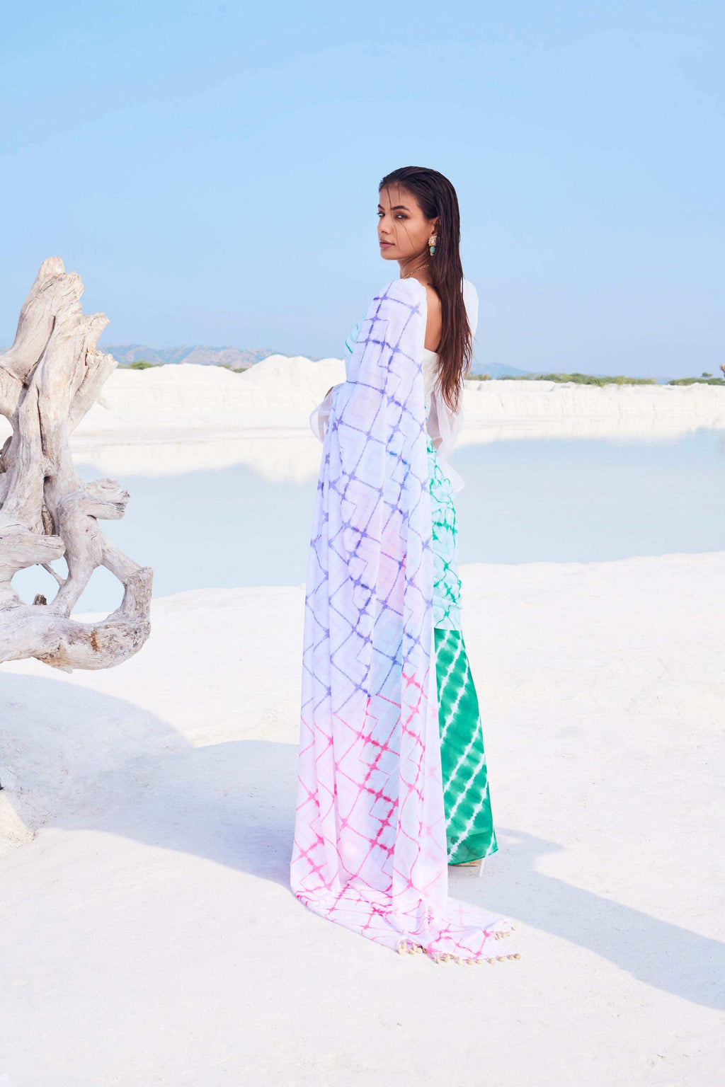 CELESTIA SAREE - MULTICOLOR - Monk & Mei